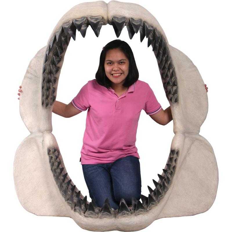 メガロドンジョーズの歯の化石 FRP恐竜オブジェ : 日本最大級の