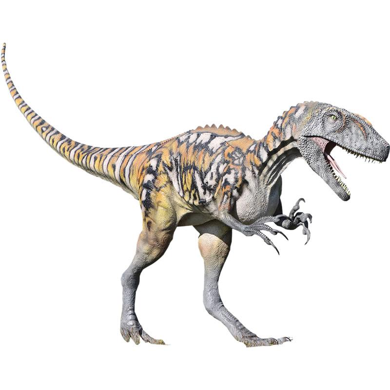 アウストラロヴェナトル FRP恐竜オブジェ | 