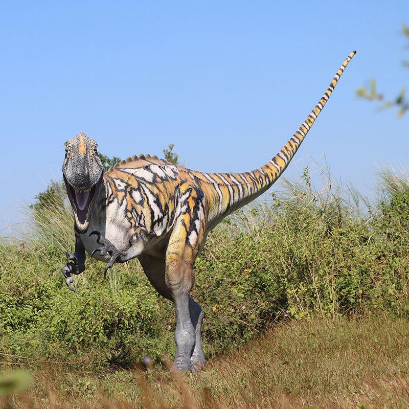 アウストラロヴェナトル FRP恐竜オブジェ |  | 04