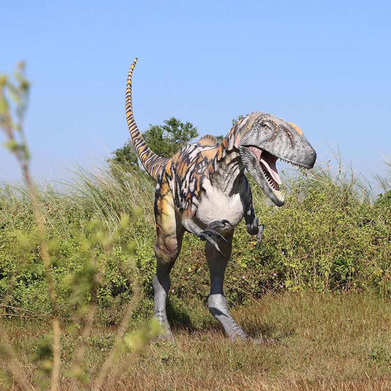 アウストラロヴェナトル FRP恐竜オブジェ |  | 05