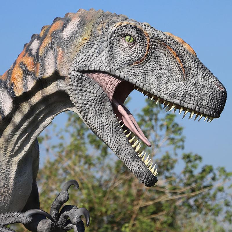 アウストラロヴェナトル FRP恐竜オブジェ |  | 07