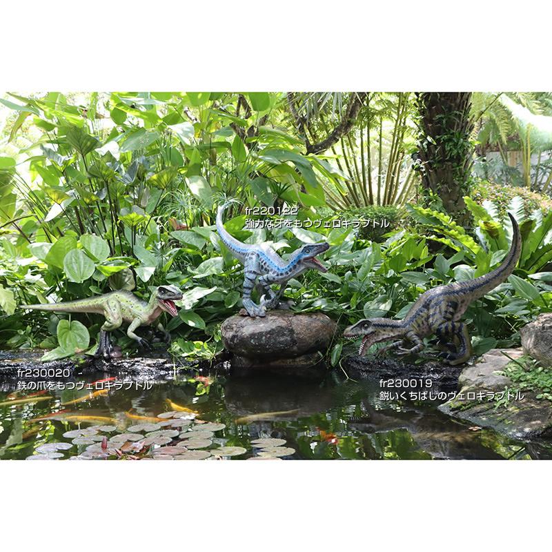 強力な牙をもつヴェロキラプトル FRP恐竜オブジェ 即納可 |  | 07
