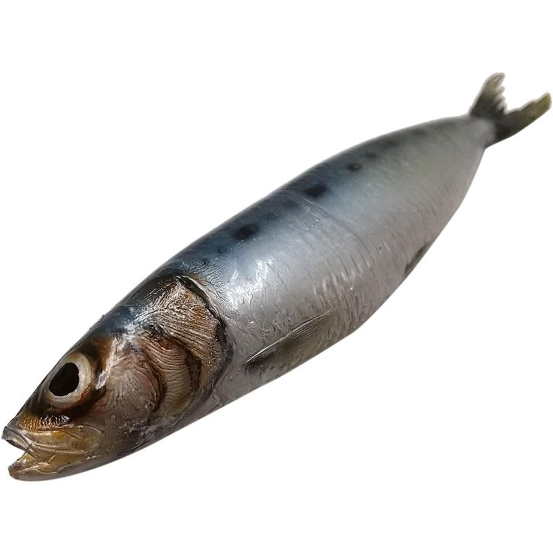 鰯 いわし イワシ 鰯 実物大の生魚 食品サンプル 日本製 送料無料 : 日本