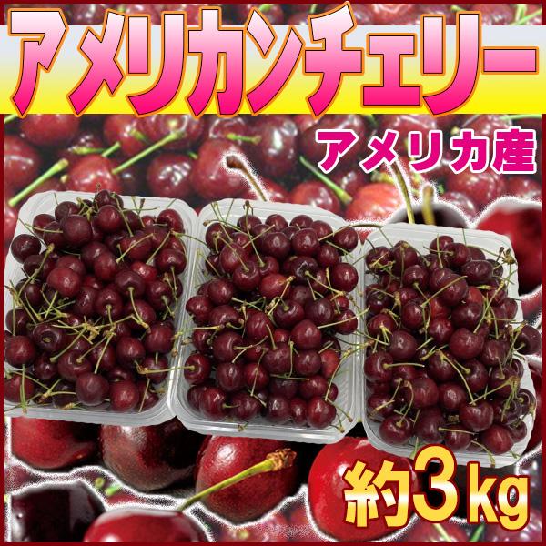アメリカ産　アメリカンチェリー　約3kg　　クール便発送 | 