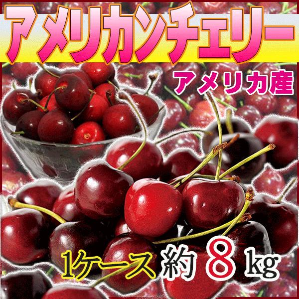 アメリカ産　アメリカンチェリー　1ケース　約8kg　クール便発送 | 