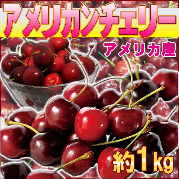 アメリカ産　アメリカンチェリー　約1kg　　クール便発送 | 