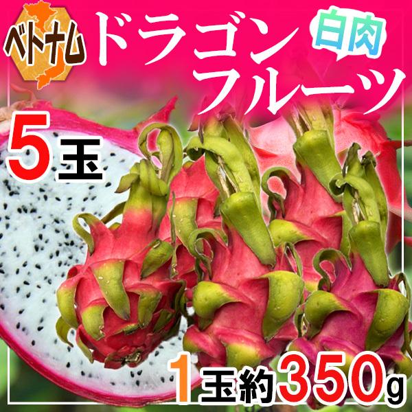 ベトナム産　ドラゴンフルーツ　白肉　5玉　1玉約350ｇ　※クール便発送 | 
