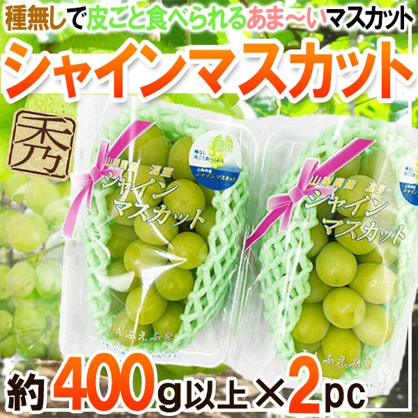 産地厳選　シャインマスカット　約400ｇ×2パック | 