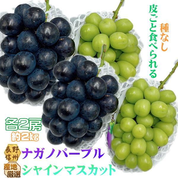 産地厳選シャインマスカット＆ナガノパープル　各2房　総重量約2kg　※クール便発送 | 