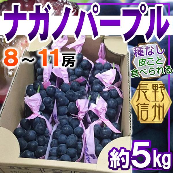 長野県産　ナガノパープル　8〜11房　約5kg　クール便発送 | 