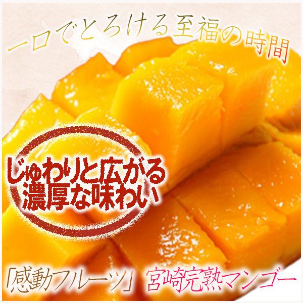 宮崎県産　宮崎完熟マンゴー　1玉　4L約510ｇ前後　クール便発送 |  | 01