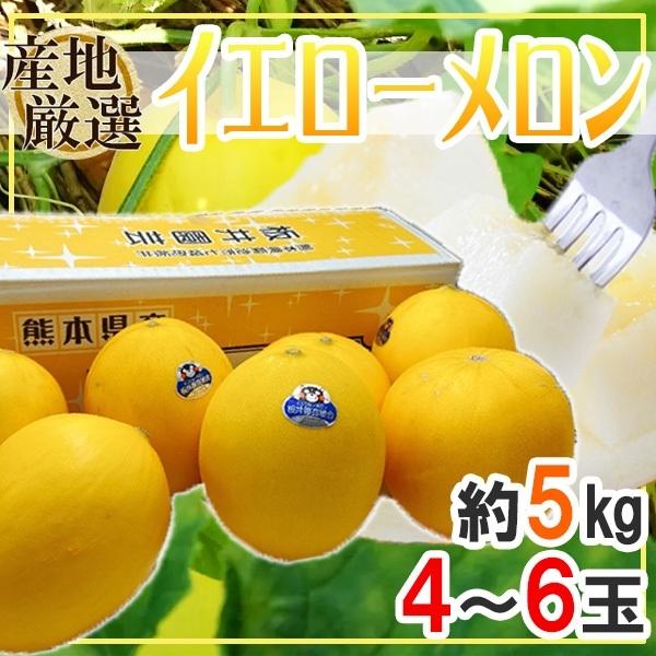 産地厳選　イエローメロン　4〜6玉　約5kg　品種おまかせ | 
