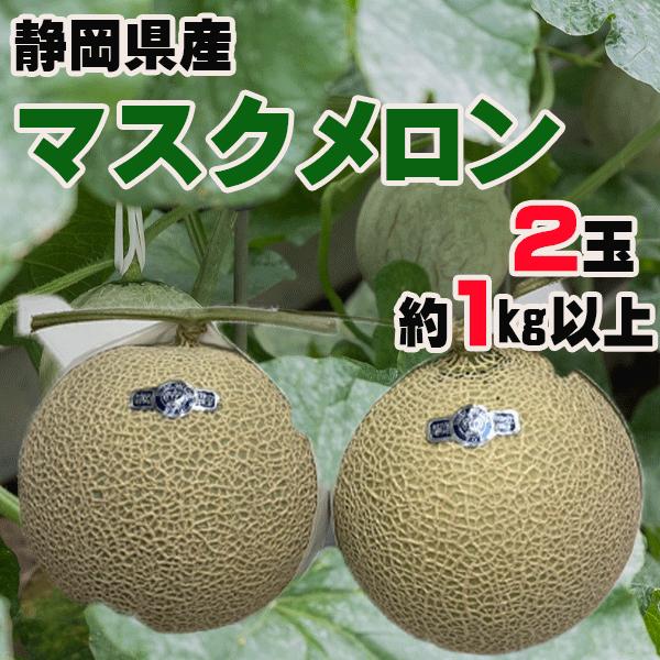 静岡県産　マスクメロン　2玉　1玉約1kg以上 | 