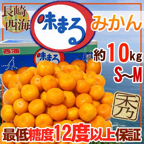 長崎県産　味まるみかん　S~Mサイズ　約10kg　秀品 | 