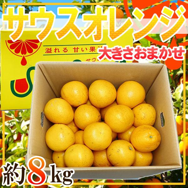 鹿児島県産　サウスオレンジ　大きさおまかせ　約8kg | 