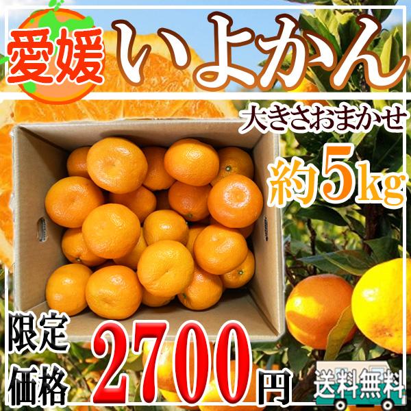 愛媛県産　いよかん　大きさおまかせ　約5kg | 