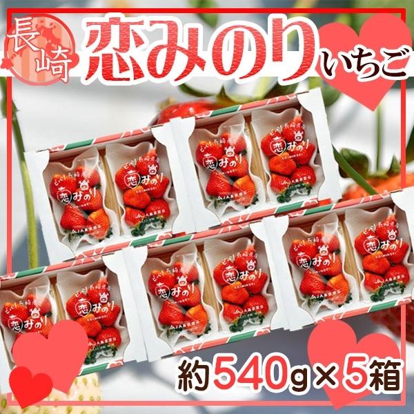 産地厳選　恋みのり　10パック　１パック約270ｇ　クール便発送　 | 