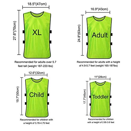 TOPTIE 12枚セット(#1-12、13-24) TOPTIE 12枚セット #1 半分