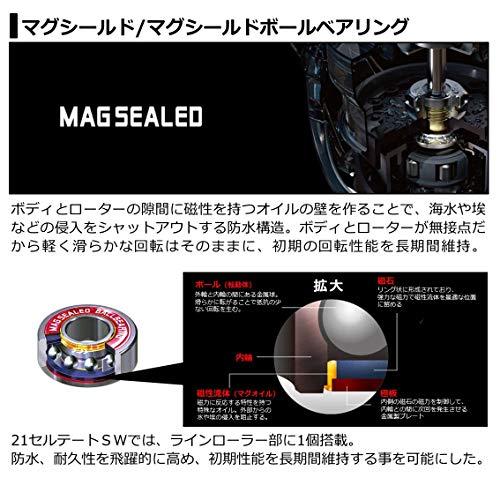 【アウトレット品】 ダイワ(DAIWA) 21 セルテートSW 18000-H 【O2626535456】(92455円)