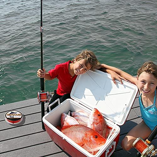 HERCULES 編組釣り糸 12ストランド、100-2000m 109-2196ヤード 三つ編みフィッシュライン、10-400ポンド テストPEライン 塩水淡水用 - グリーン、1000m HERCULES 編組釣り糸 12ストランド 2000m 2196ヤード 三つ編みフィッシュライン 400ポンド テストPEライン 塩水淡水用 グリーン 1000m