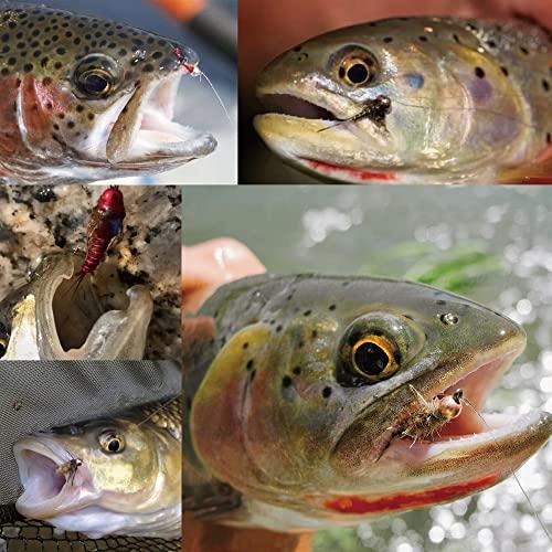 MUUNN 200個/ロット フライタイイングタングステンビーズ サイクロプス タングステンニンフヘッドボール フライタイイング素材 4.6mm コンビネーション 4色 MUUNN 200個/ロット フライタイイングタングステンビーズ サイクロプス タングステンニンフヘッドボール フライタイイング素材 6mm コンビネーション 4色