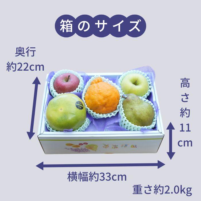 お盆 初盆 に 旬のフルーツギフト 5品 お供え物 フルーツギフト 果物