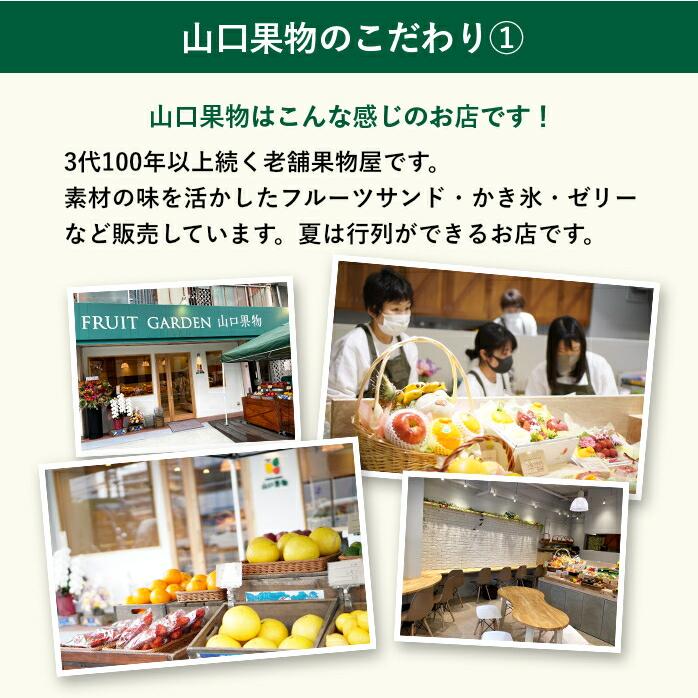 お盆 初盆 に 旬のフルーツギフト 5品 お供え物 フルーツギフト 果物