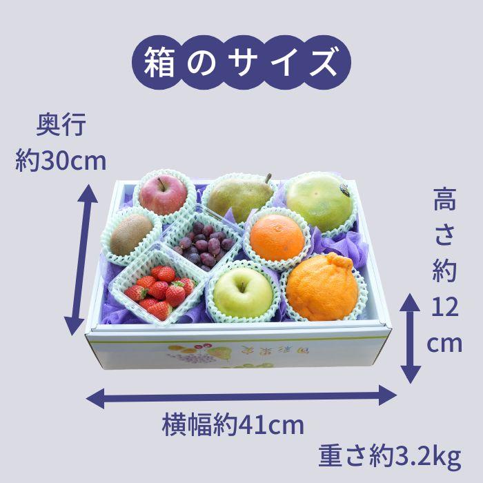 旬のフルーツギフト 9品 お供え物 フルーツギフト 果物詰合せ 御供物