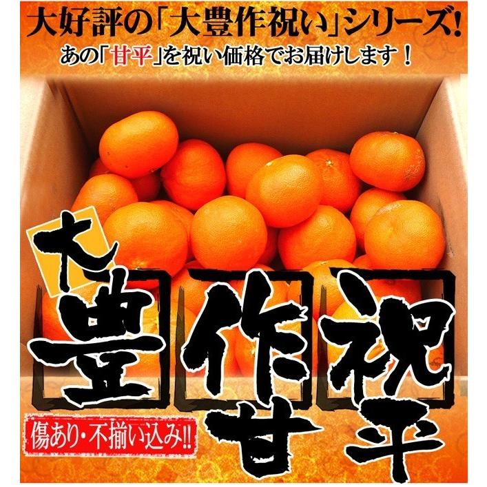 大豊作祝いの甘平(かんぺい)5kg【送料無料】不選別・訳あり 大豊作祝いの甘平(かんぺい)5kg【送料無料】不選別・訳あり
