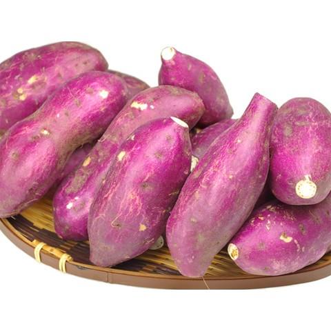 現在出荷中♪ホクホクッあま〜い♪新鳴門金時2kg【送料無料