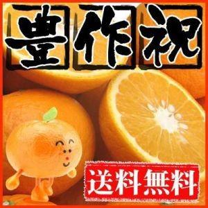 大豊作祝い甘夏7kg【送料無料】訳あり・不揃い（Yahoo!・フルーツショップサニー）