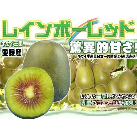 愛媛産 レインボーレッド4kg 平均糖度度超 キウイの王様 送料無料 A1009 Rb24 フルーツショップサニー 通販 Yahoo ショッピング
