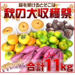 たっぷり11kg 秋の味覚どっさり便送料無料 フルーツ 果物 旬 くだもの 食品 おやつ 果実 A1015 Akidosari11kg フルーツショップサニー 通販 Yahoo ショッピング