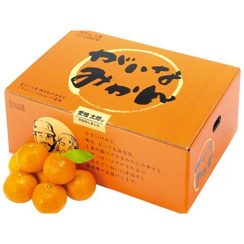 JA西宇和協賛！がいなみかん5kg×2=10ｋｇ【送料無料】真穴、日の丸等共選より｜fruit-sunny