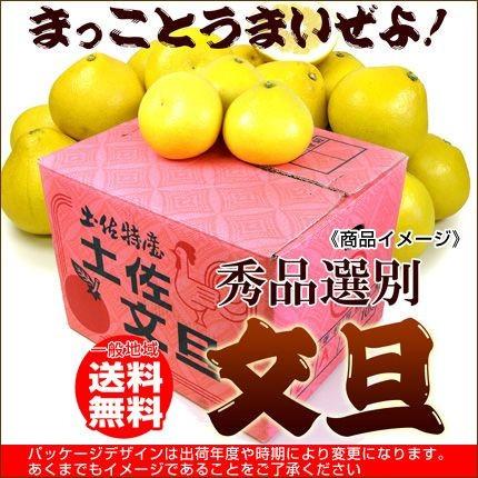 土佐文旦 秀品10kg2L 送料無料 20〜22玉 : フルーツショップサニー