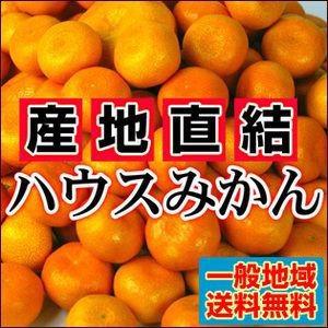 愛媛県産　ハウスみかん　みかん　柑橘　5kg 絶品！夏こそハウスみかん愛媛産 訳ありハウスみかん5kg【送料無料