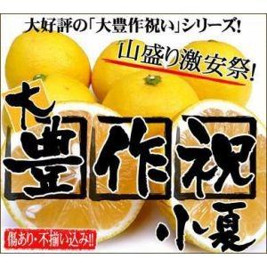 大豊作祝いの小夏（ニューサマーオレンジ）5kg【送料無料】訳あり（Yahoo!・フルーツショップサニー）