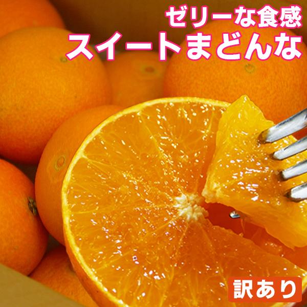 愛媛産 スイートまどんな(訳あり)1kg【2品で+1kg(3kgセット) 3品で+2kg(5kgセット)】送料無料 紅まどんな 愛果28号と同品種 マドンナ フルーツ 果物 みかん | 