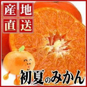 愛媛産カラ・マンダリン10kg【送料無料】【訳あり】（Yahoo!・フルーツショップサニー）