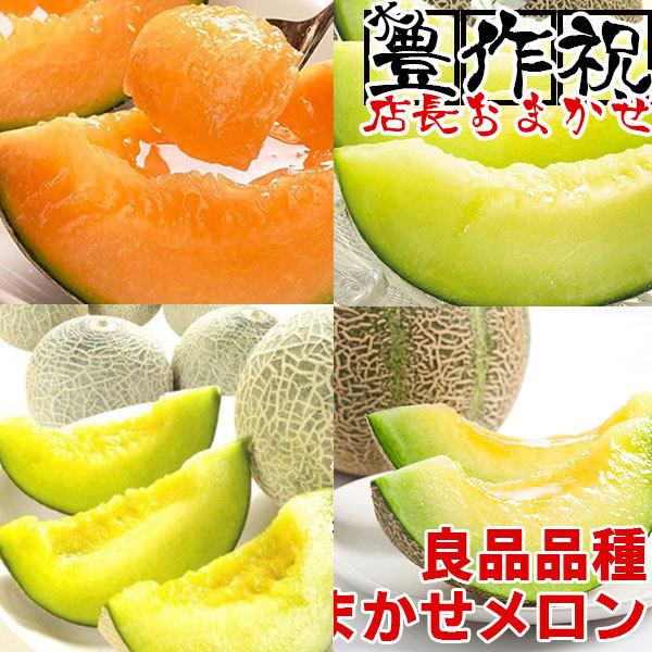 店長おまかせメロン 約3kg〜4kg 2〜6玉入 送料無料(一部地域除く) 食品ロス コロナ おうち時間と生産者応援 家庭用 フルーツ 旬の果物 くだもの 果実 | 