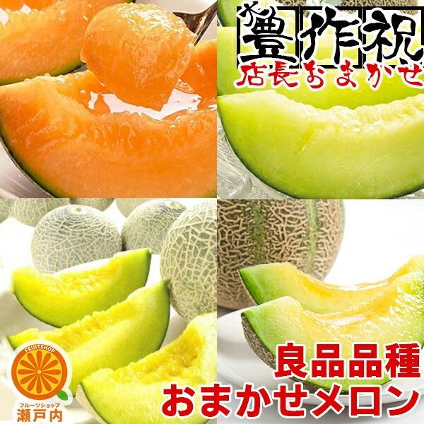 店長おまかせメロン 約2.5kg〜3.5kg 2〜6玉入 送料無料 生産者応援 愛媛県産 茨城県産 高知県産フルーツ 旬の果物 くだもの  おやつ デザート 夏の味覚（Yahoo!・フルーツショップサニー）