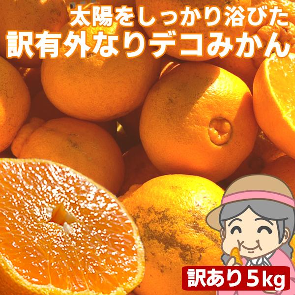 愛媛産 ご家庭用 農家さんもぐもぐ 外なり訳ありデコみかん 5kg(+約0.5kg多め) 送料無料 デコポン でこぽん 不揃い  フルーツ 果物 くだもの（Yahoo!・フルーツショップサニー）