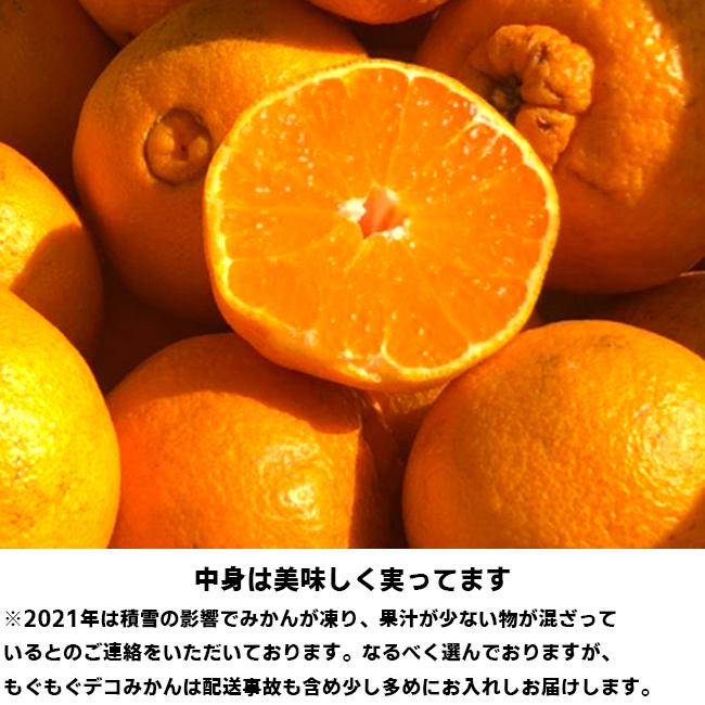 愛媛産 ご家庭用 農家さんもぐもぐ 外なり訳ありデコみかん 5kg(+約0.5kg多め) デコポン でこぽん 不揃い  フルーツ 果物 くだもの｜fruit-sunny｜02