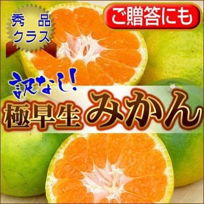 訳なしに挑戦！【訳なし】自信の極早生みかん10kg【送料無料】　フルーツ 果物 くだもの 食品 おやつ みかん 柑橘類 ミカン｜fruit-sunny