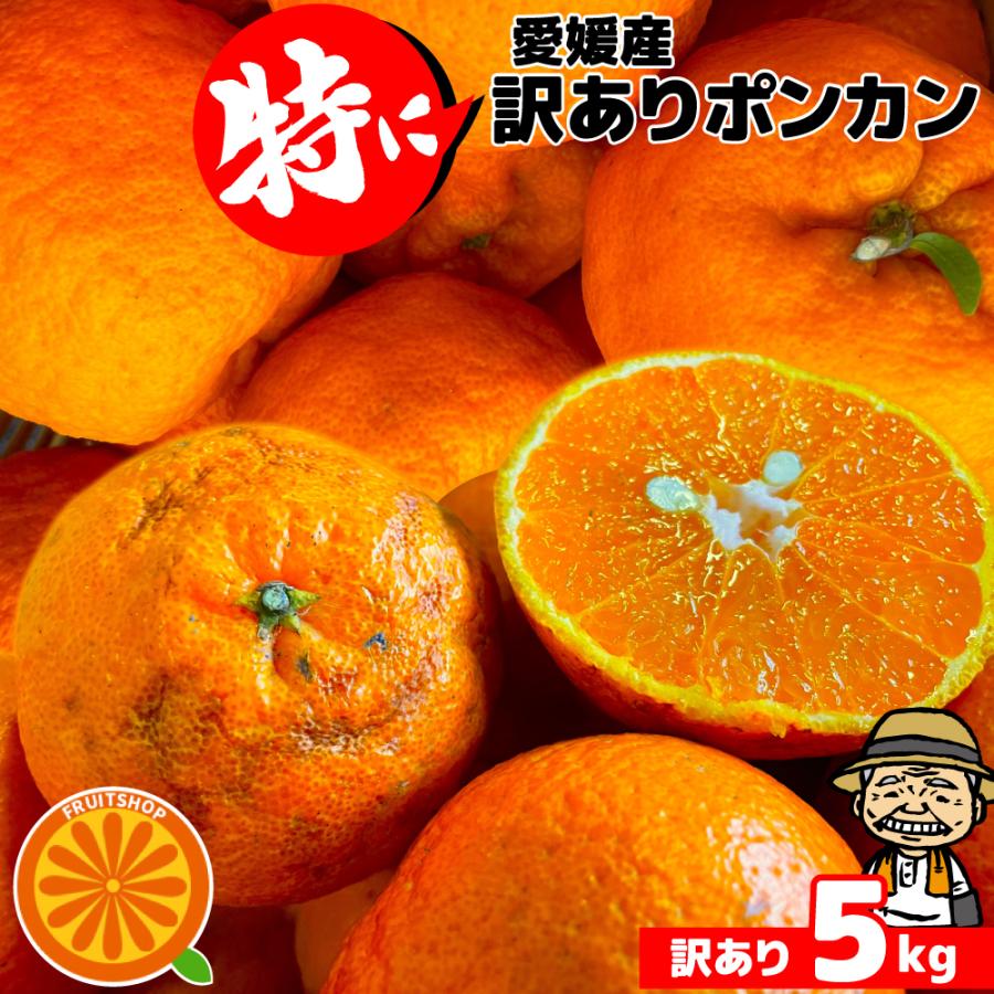 愛媛県産 特に訳ありぽんかん 5.5kg 不揃い【送料無料】愛媛県産 椪柑 ポンカンオレンジ デコポンの親品種 フルーツ（Yahoo!・フルーツショップサニー）