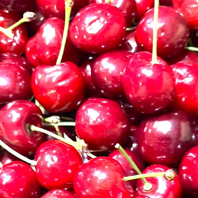 通常サイズ♪アメリカンチェリー 1kg 送料無料 フルーツ 果物 くだもの