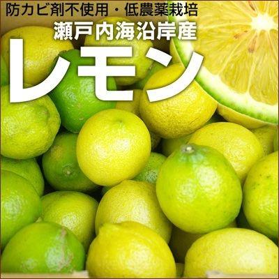 瀬戸内産 国産レモン1kg量り売り 訳あり・不揃い : フルーツショップ