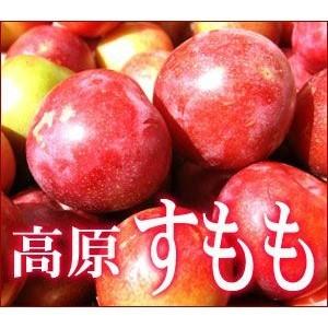 愛媛産 高原のすもも 訳あり 約1.4kg【クール便送料無料(一部地域除く