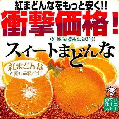 スイートまどんな（訳あり）5kg【送料無料】 愛媛県産 家庭用 ゼリー食