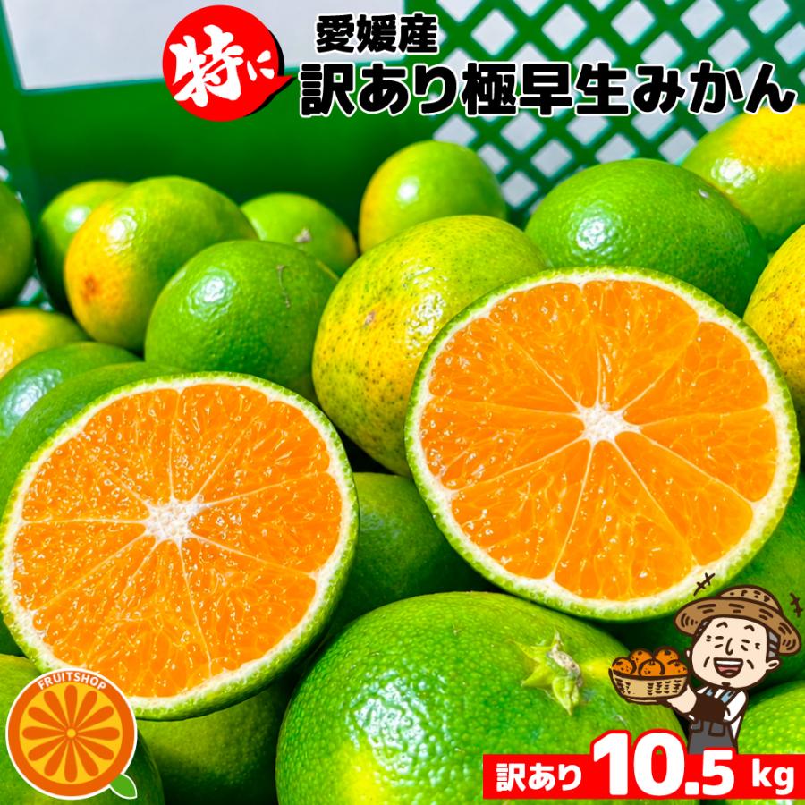 只今出荷中♪特に訳ありみかん10kg(+約0.5kg)【送料無料】発送時期で